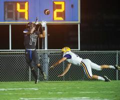 Tigers bounce back at Handley of Roanoke