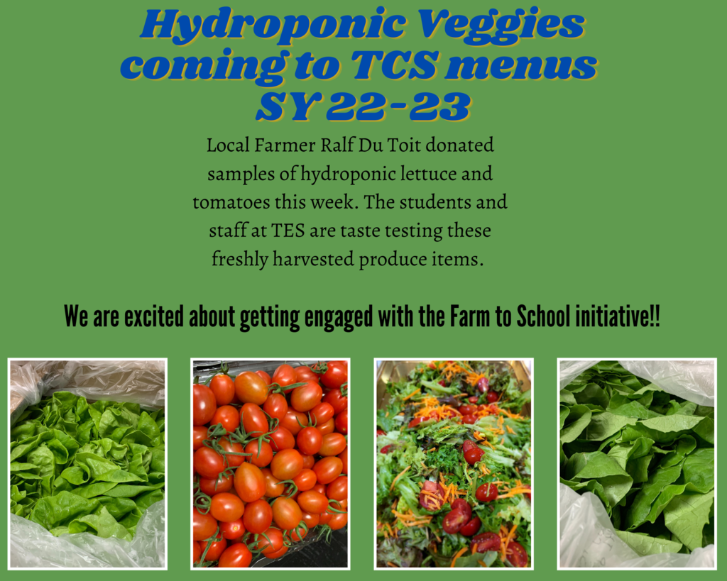 Hydroponic Veggies