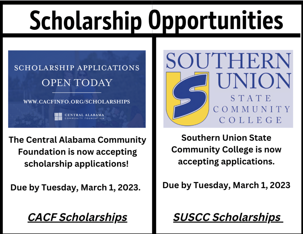 scholarship opportunities